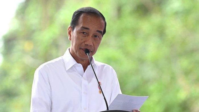 Jawaban Jokowi Terkait PDIP Pecat Effendi Simbolon Usai Bertemu Dirinya, Eks Presiden Santai