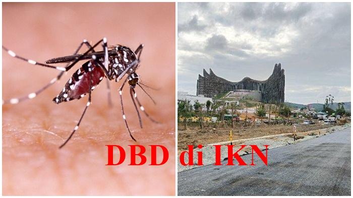 5 Faktor Penyebab DBD yang Perlu Diwaspadai Menurut Epidemiolog Universitas Mulawarman Samarinda