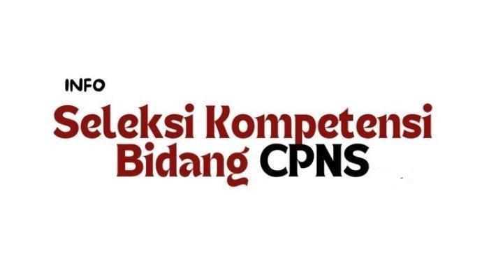 Cara Melihat Perangkingan SKD CPNS 2024 untuk Mengetahui Apakah Lolos atau Tidak ke Tes SKB