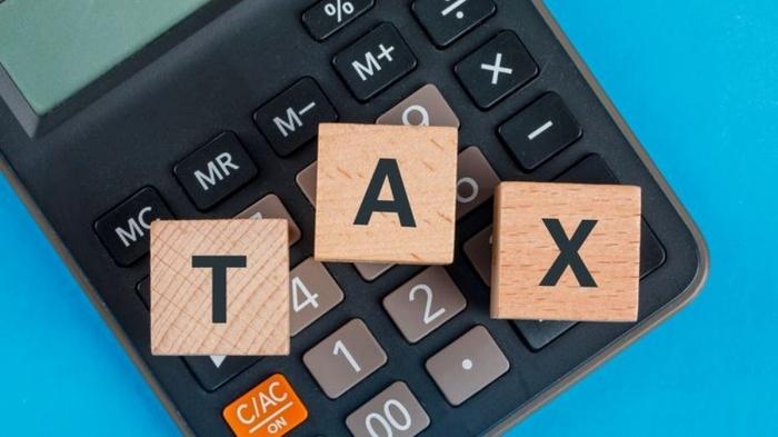20241120_PPN-12-Persen_Tax-Amnesty_pengemplang-pajak.jpg