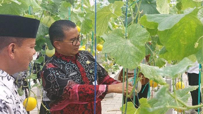 20241125_Pj-Gubernur-Kaltim-Akmal-Malik-saat-panen-buah-melon-hidroponik.jpg