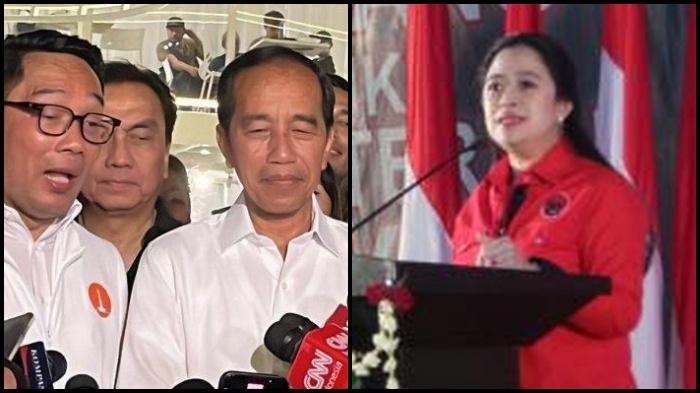 20241204_Effendi-Simbolon_PDIP_Jokowi_Puan-Maharani_status.jpg