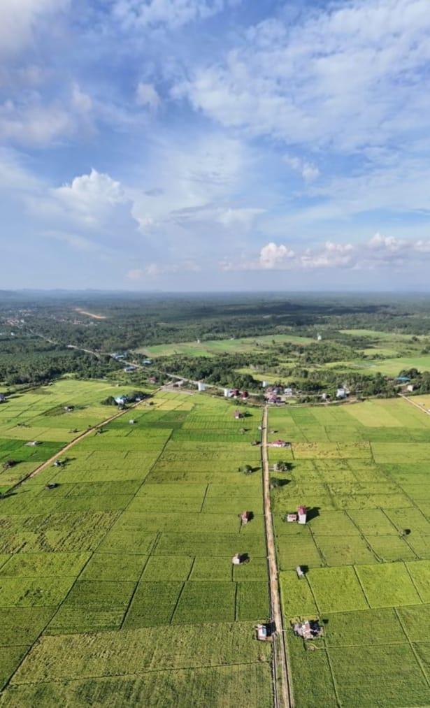 Desa Miau Baru Kutim Usulkan Sarprodi Pertanian Lewat Program FCPF-CF untuk Tingkatkan Ekonomi Warga