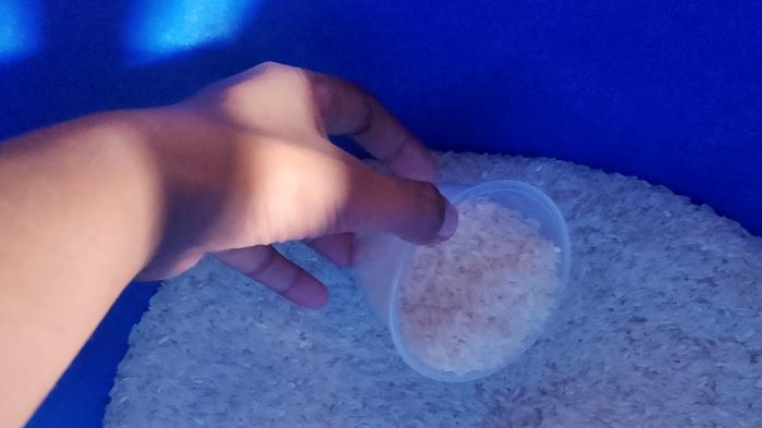 Cara Warga Long Pahangai Mahakam Ulu dalam Mengatasi Harga Beras Mahal