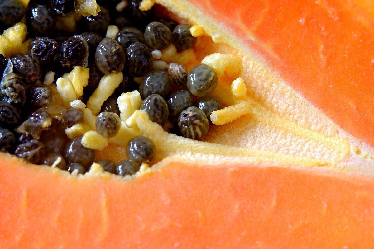 5 Manfaat Biji Pepaya untuk Kesehatan, Meningkatkan Pencernaan hingga Mencegah Kanker