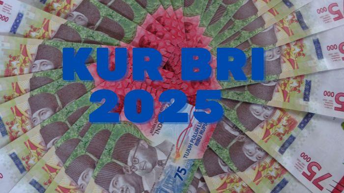 20250214_syarat-pengajuan-KUR-BRI-2025_tabel-angsuran_tabel-pinjaman.jpg