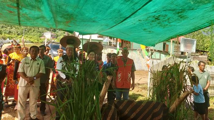 20250303_syukuran-panen-padi-di-Kampung-Batoq-Kelo-Kecamatan-Long-Bagun-Mahulu.jpg