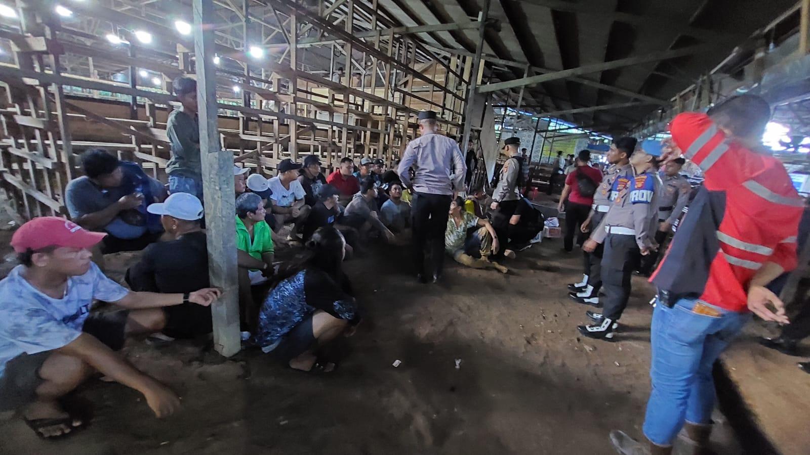 4 Fakta Penggerebekan Sabung Ayam di Kukar Kaltim, Arena Judi Dilengkapi CCTV