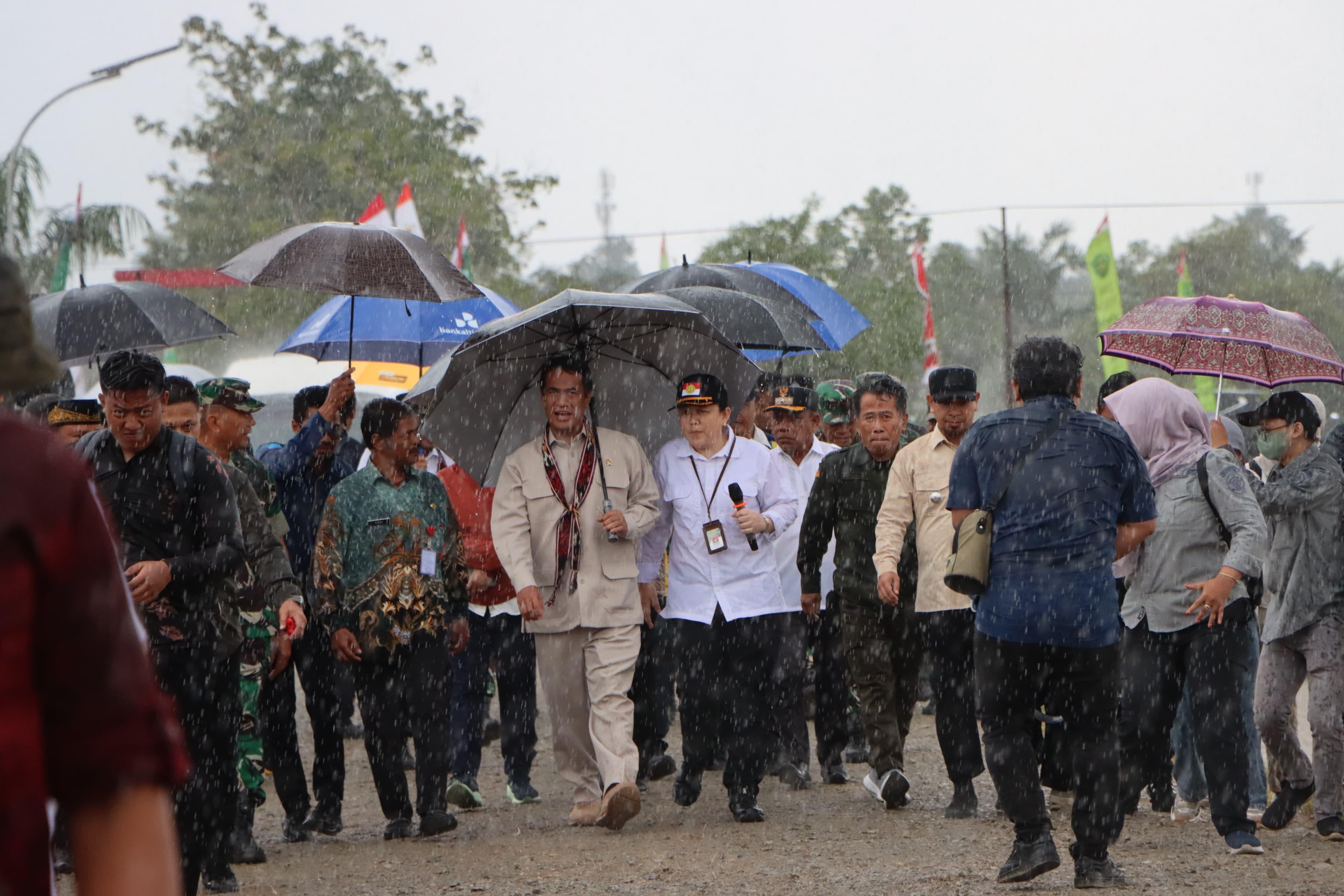 2025059-Mentan-Andi-Amran-Sulaiman-saat-kunjungi-kawasan-pertanian.jpg