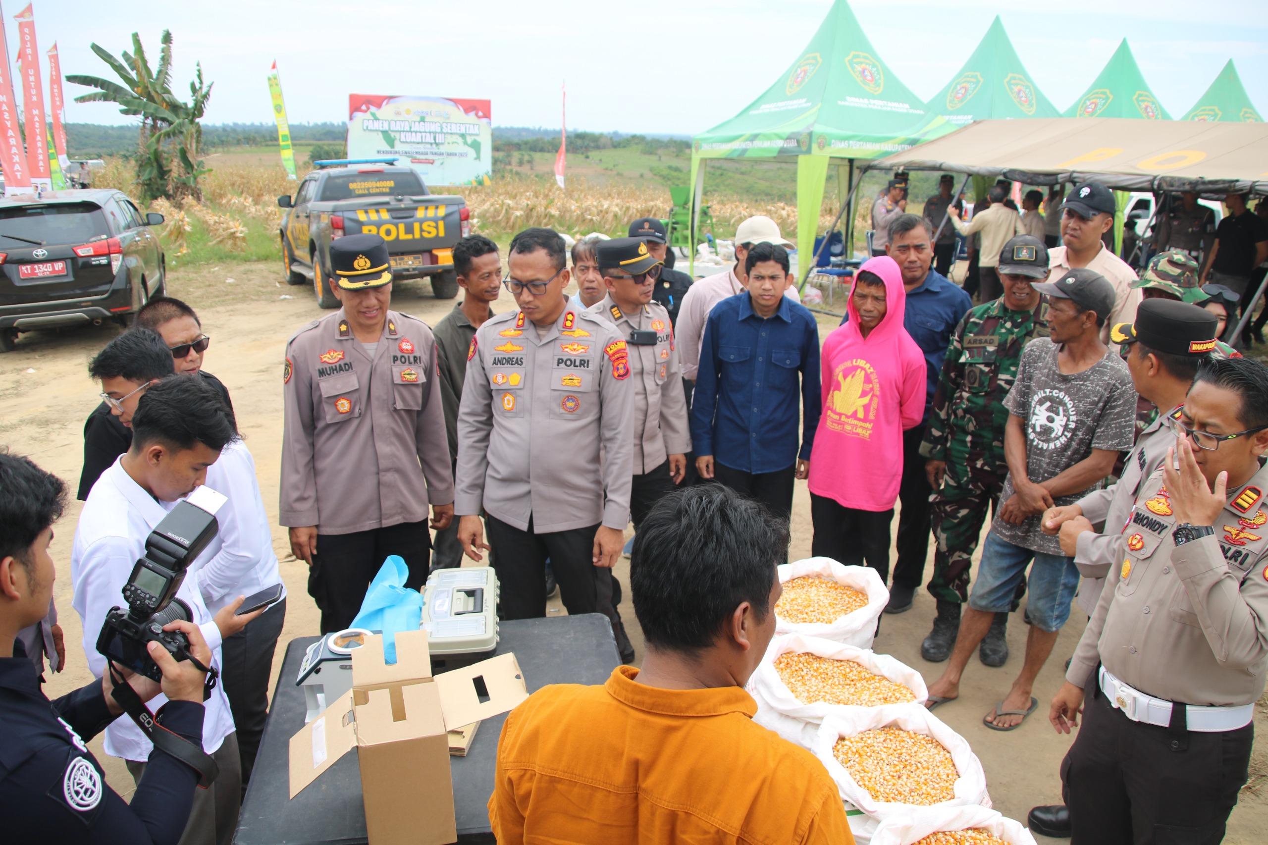 20250930_Panen-jagung-serentak-di-Desa-Girimukti-Kecamatan-Penajam-PPU.jpg