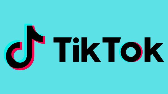 20251019_logo-tiktok-ya.jpg