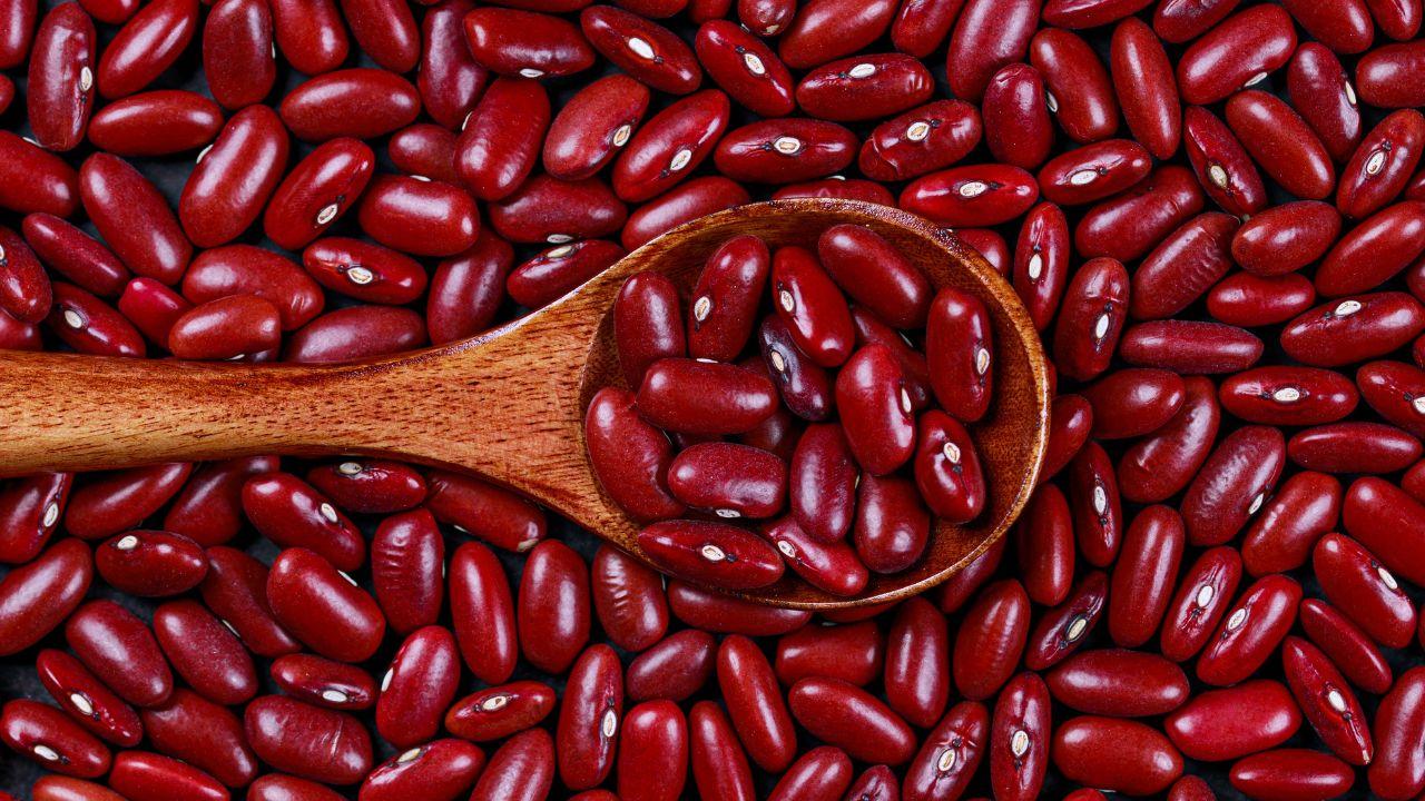 20251107_Kacang-Merah.jpg