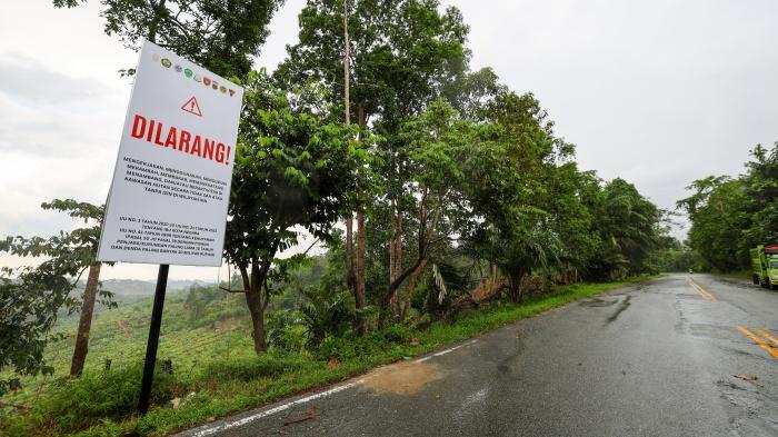 20251205_Sejarah-Tahura-Bukit-Soeharto_kawasan-konservasi_Kaltim_Kalimantan-Timur_IKN_2.jpg