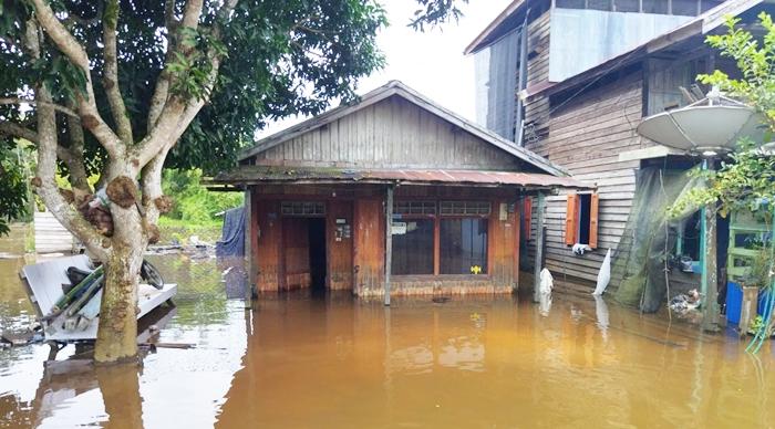 Banjir Tahunan di Hulu Kukar Kian Tak Terprediksi, Warga Semayang dan Teluk Bingkai Selalu Waspada