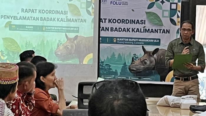 Badak Pari di Mahakam Ulu Terancam Deforestasi Hutan dan Aktivitas Ilegal