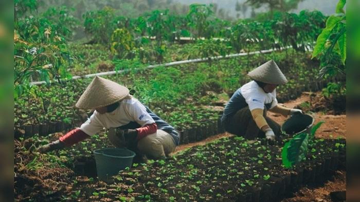 Astra Bantu Petani Kopi Garut Naik Kelas ke Pasar Global