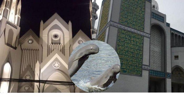 20252001-HUT-Kota-Samarinda-Ikan-Pesut-Katedral-dan-Masjid.jpg