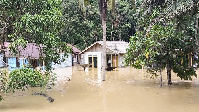 Banjir Rendam 54 Rumah di Kelurahan Mentawir, BPBD PPU Turun Langsung Pantau dan Salurkan Bantuan