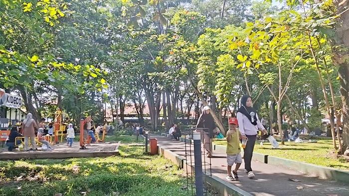 40 Persen Keluarga di Paser Berisiko Stunting, DP2KBP3A Fokus Edukasi dan Pencegahan