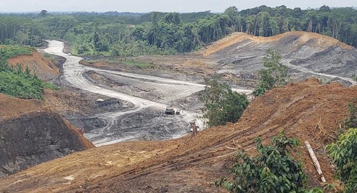 20260111_hutan-kota-yang-ditambang.jpg