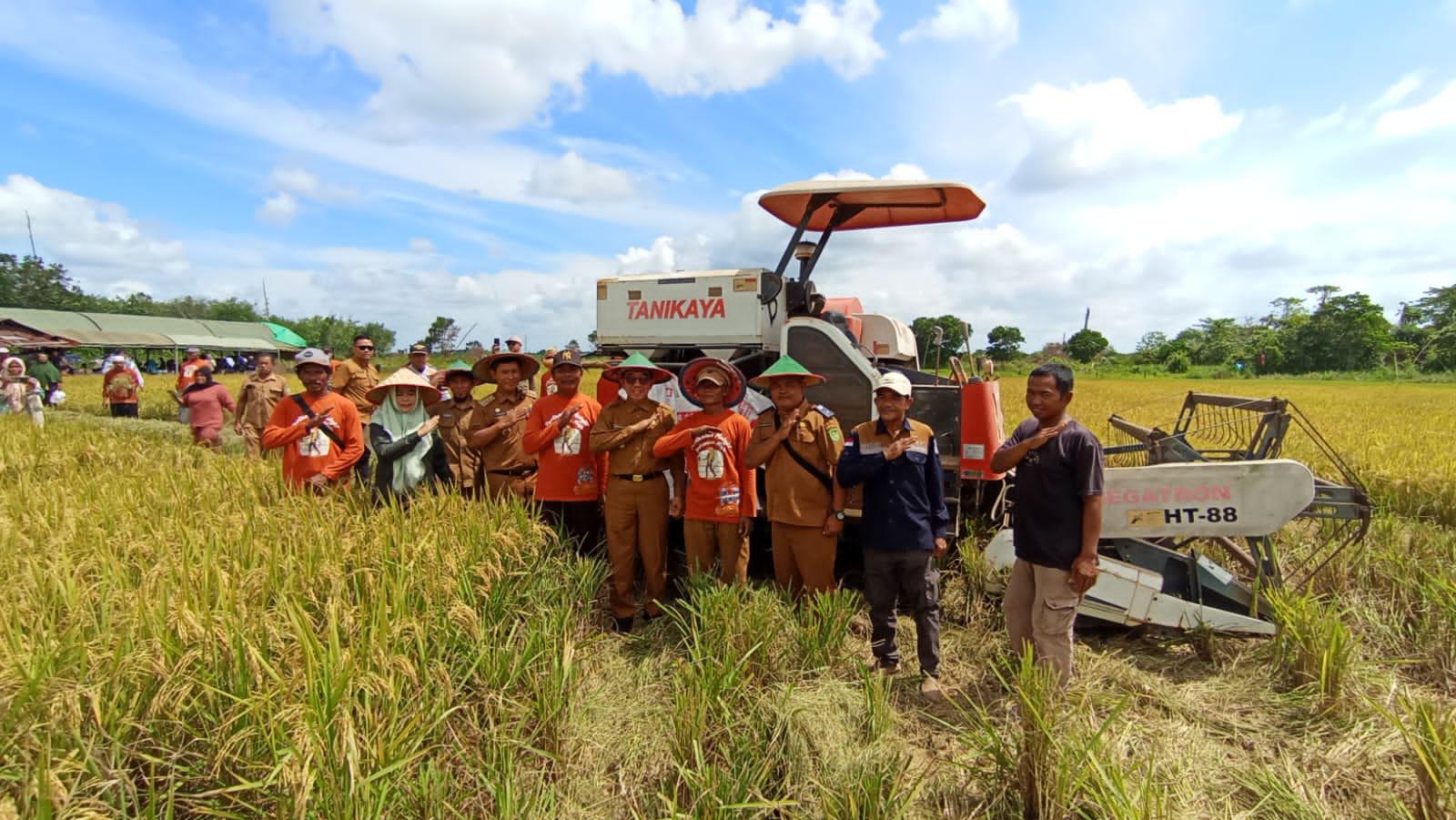 20260120_Bupati-Kutim-Ardiansyah-Sulaiman-saat-memanen-padi-di-Kecamatan-Long-Mesangat.jpg