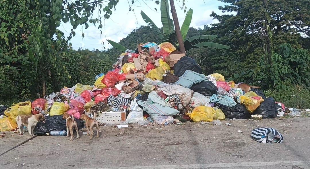 3 Dampak Buruk Cemaran Sampah Konsumsi yang Kerap Terabaikan dalam Lebaran Idul Fitri