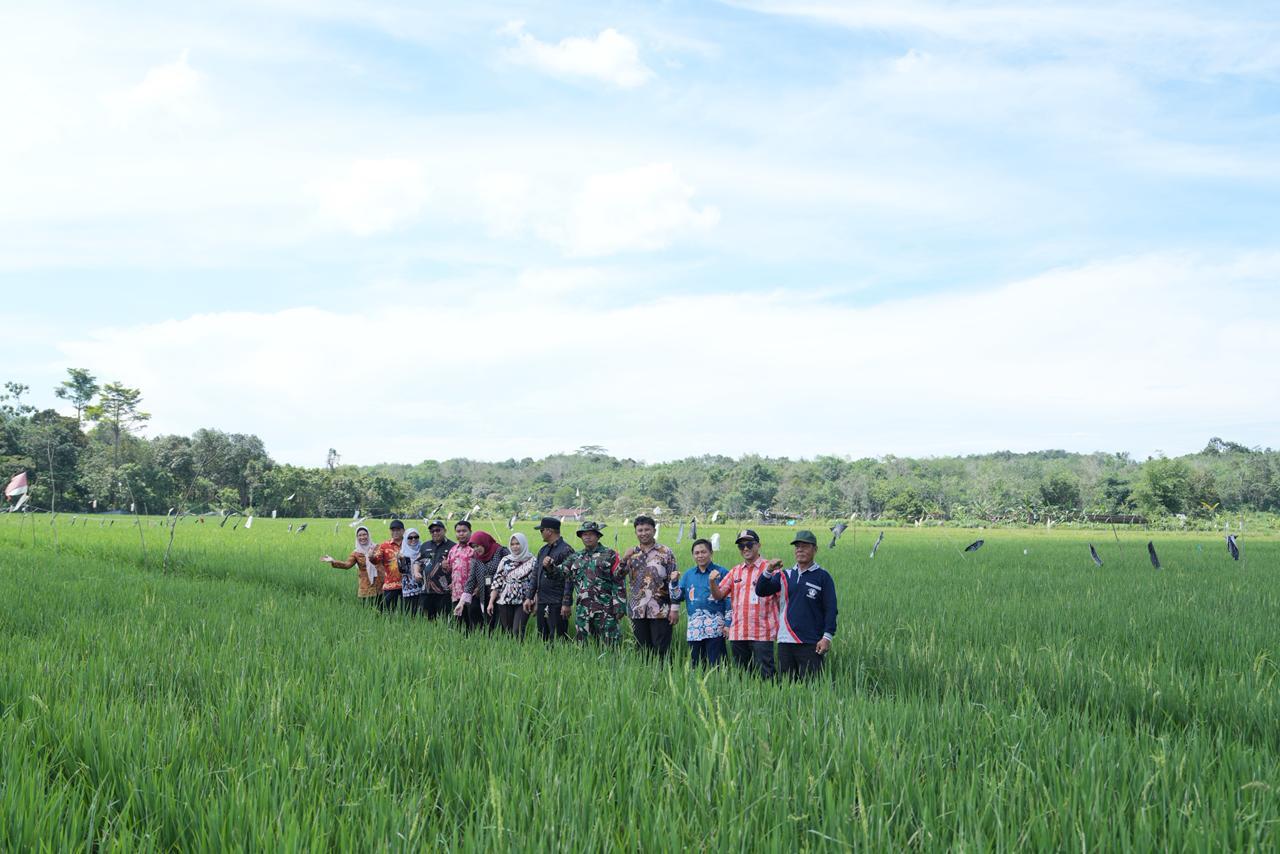 20260410_Dinas-Ketahanan-Pangan-Pertanian-dan-Perikanan-DKP3-Balikpapan-Sawah-Gunung-Binjai.jpg