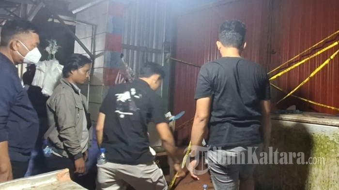Tribun