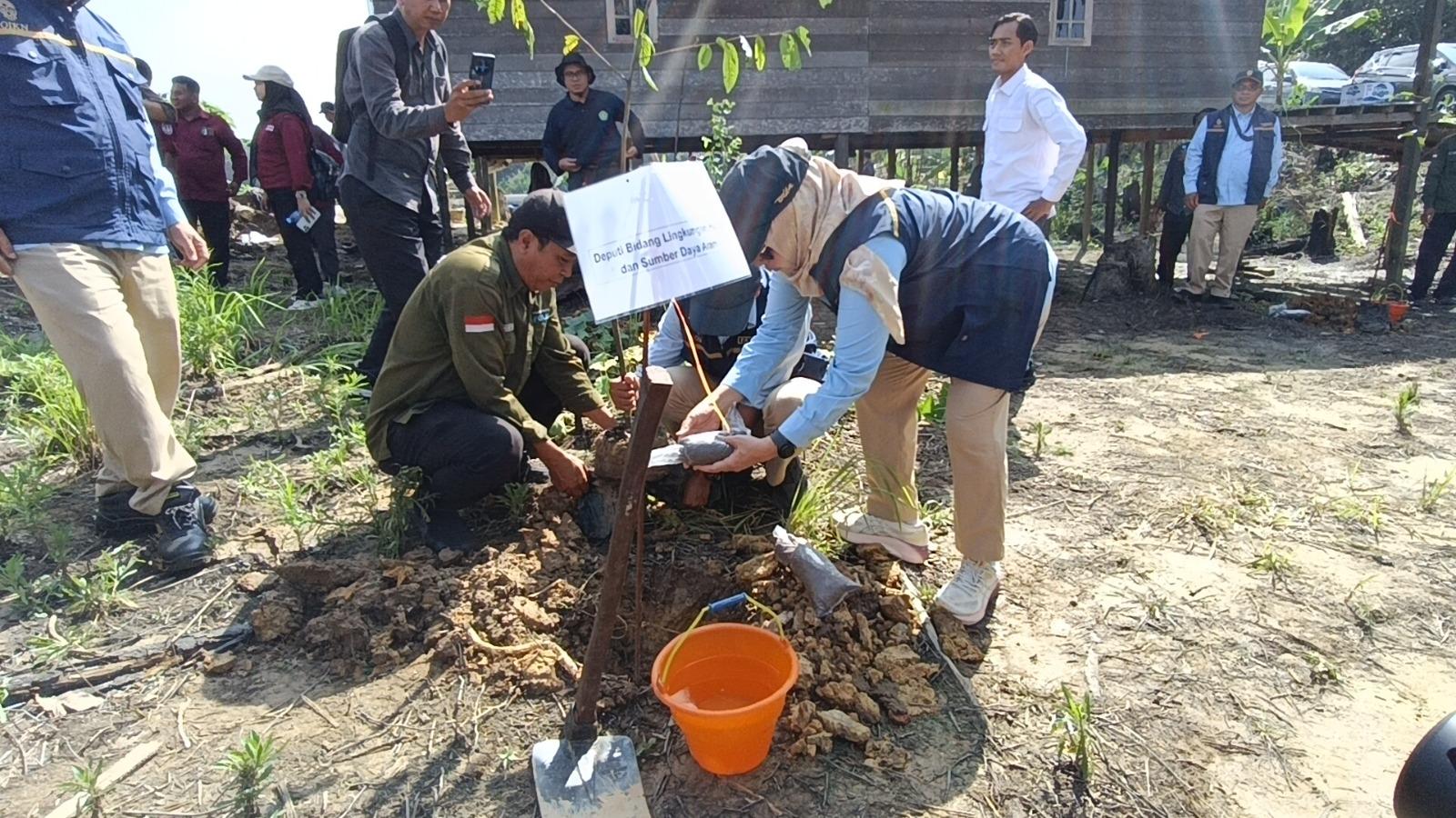 Otorita IKN Tanam 100 Bibit Pohon di Tahura Bukit Soeharto