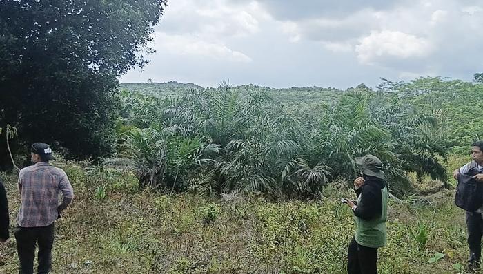 Samboja Lestari Hadapi Tantangan Perambahan Lahan, BOSF Dorong Penguatan Kawasan Hutan Penyangga IKN