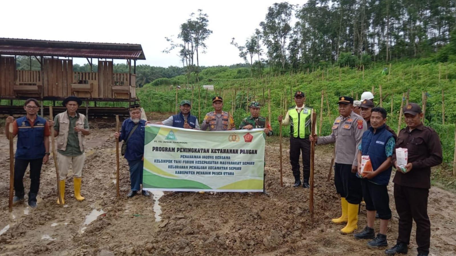 PT IHM Dukung Ketahanan Pangan di IKN, Tanam Jagung Bersama Petani Pemaluan