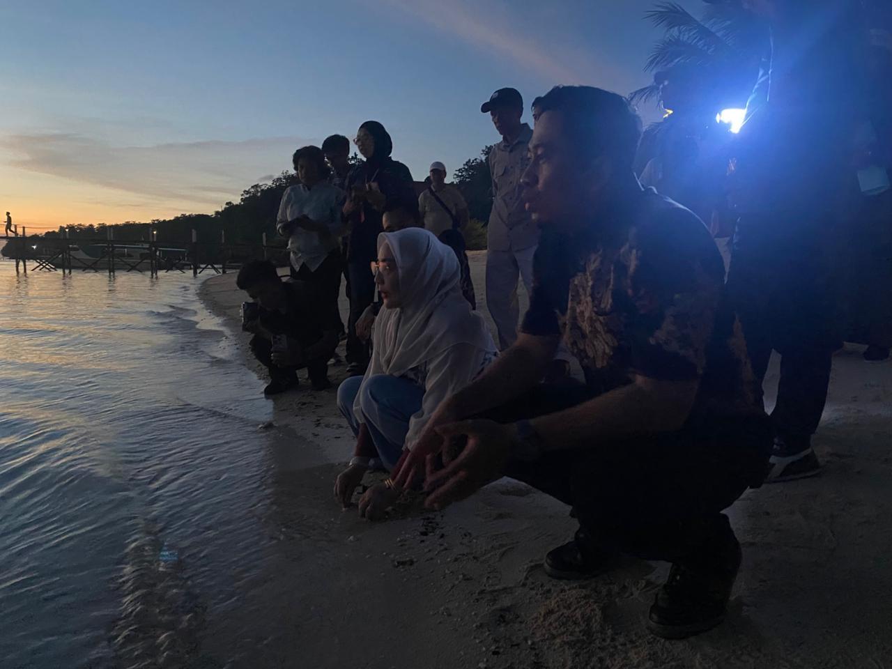 20260608_Melepas-Tukik-di-Berau-Kaltim.jpg