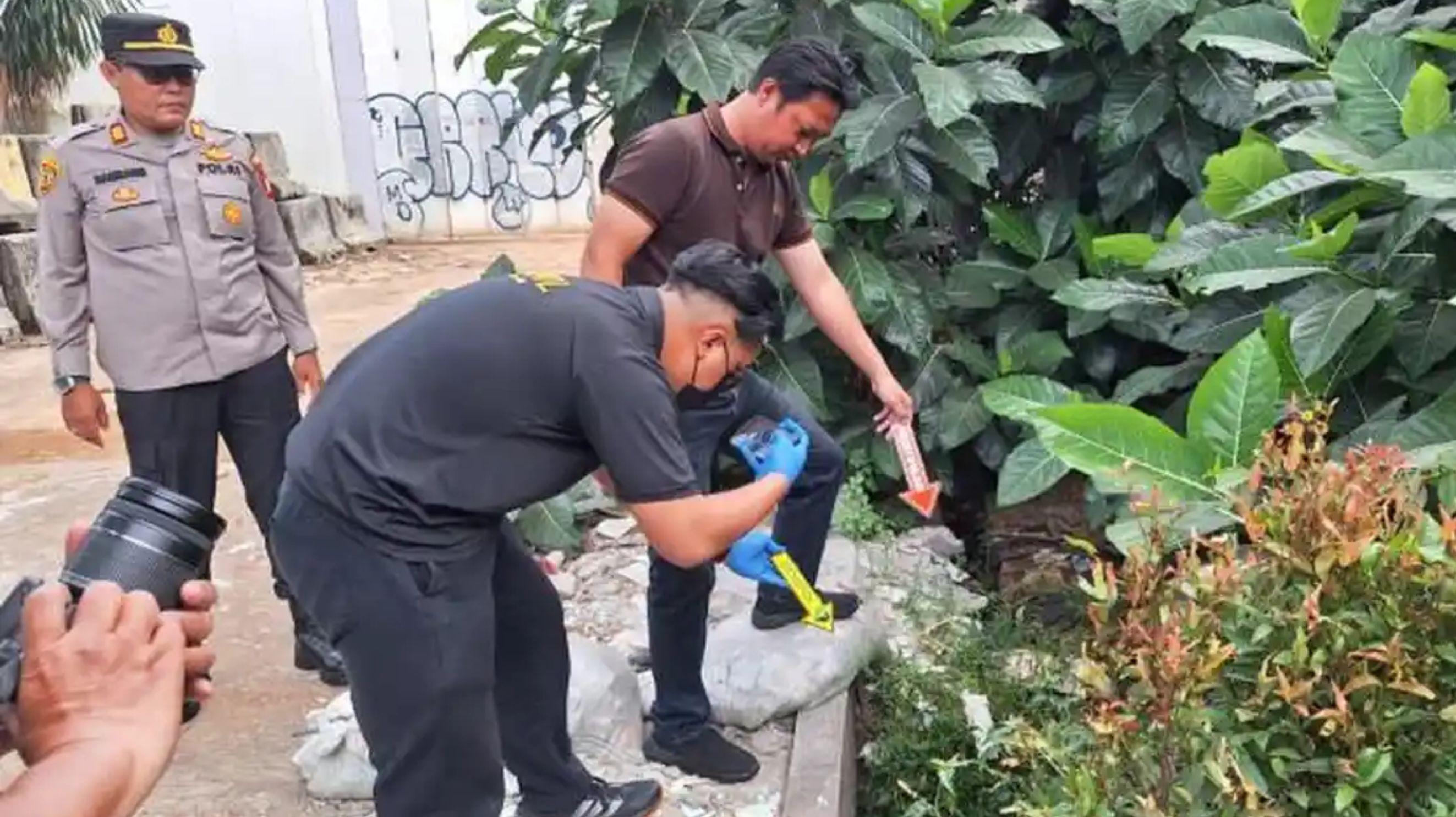 Viral! Jasad Bayi Tanpa Kaki di Saluran Air, Polisi Duga Dimakan Biawak - Tribunkaltim.co