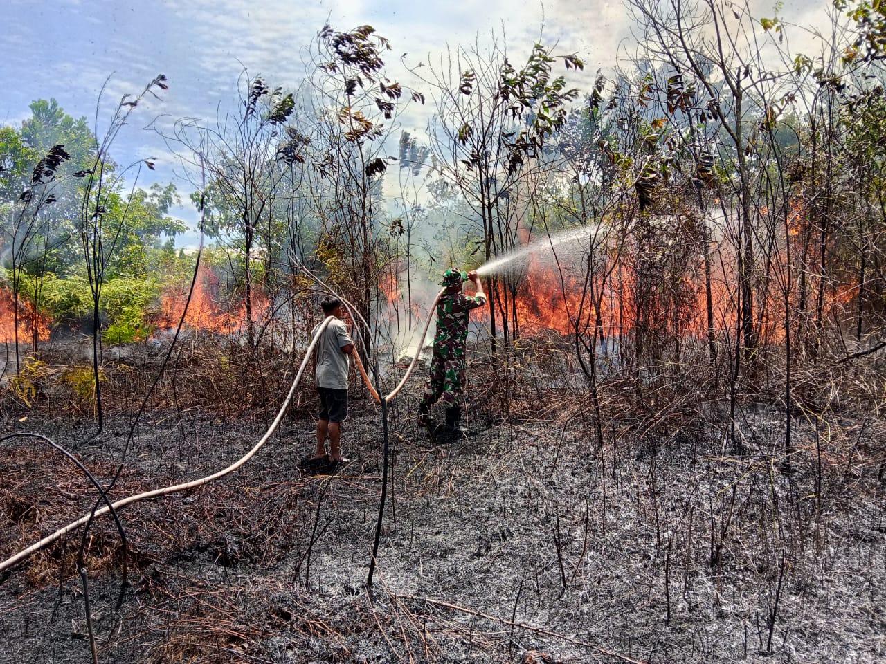 30072025-kebakaran-hutan-dan-lahan-karhutla-di-Teluk-Bayur-Berau.jpg
