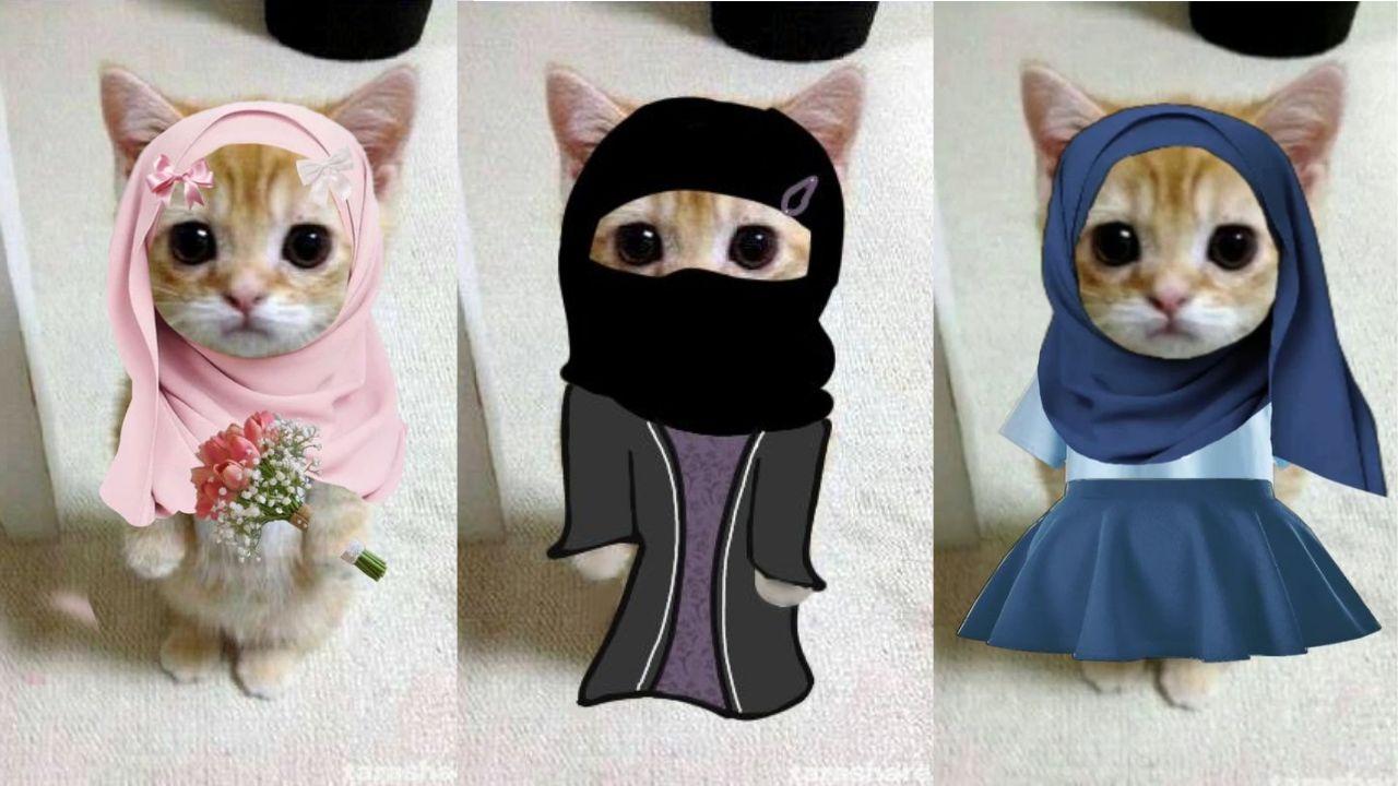 60-link-pp-kucing-Ramadhan-2024.jpg