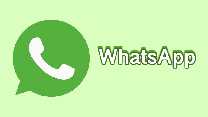 Apa Itu Scoopy WhatsApp yang Ramai Dicari? Cara Sadap WhatsApp hanya dengan Nomor WA, harus Waspada