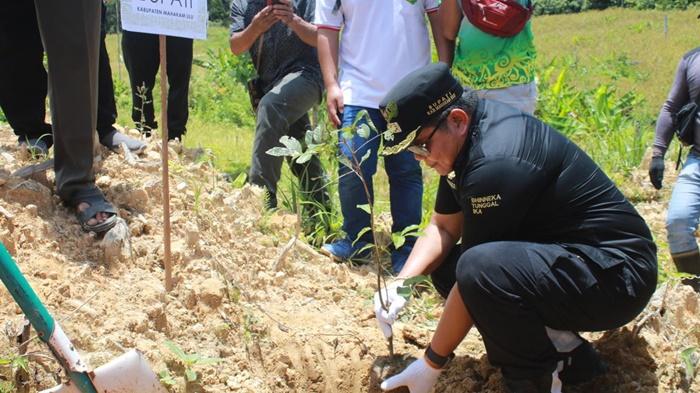 Bupati-MahuluBonifasius-Belawan-Geh-dan-ketua-TP-PKK-Yovita-Bulan-Bonifasius-ikut-menanam-bibit-buah.jpg