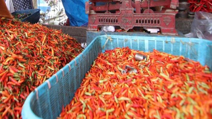 Jelang Idul Adha 1443 H, Harga Cabai di Pasar Pandan Sari Balikpapan Turun Rp 80 Ribu per Kilogram