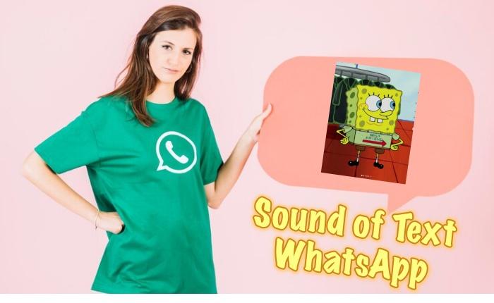 Cara-Bikin-Sound-of-Text-WhatsApp-Suara-Spongebob-Pakai-Suara-Patrick-Mr-Krabs-atau-Kartun-Lainnya.jpg