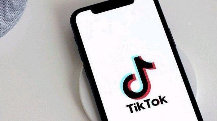 ILUSTRASI-TikTok-241022.jpg