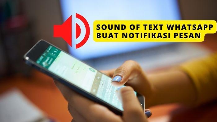 Trik WhatsApp Web: Cara Menggunakan Sound of Text WA yang Keren untuk Nada Notifikasi