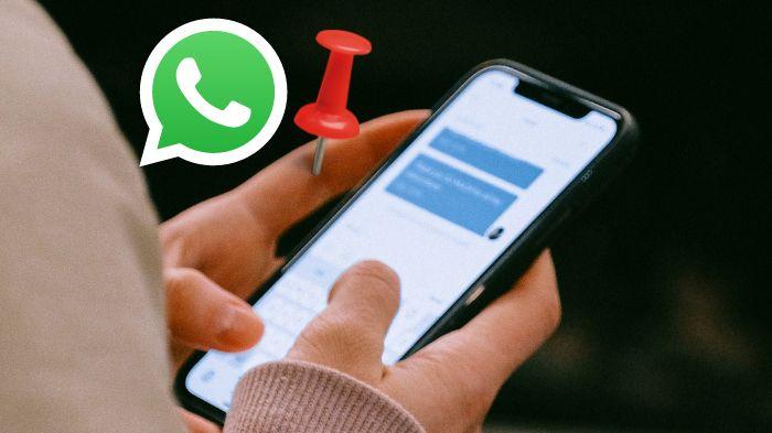 Cara Menyematkan Chat di WhatsApp Web Lebih dari 3 Kontak, Ikuti Langkah Mudahnya Berikut