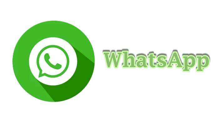 Kenapa File di WhatsApp Web Tidak Bisa Didownload? Ini Cara Mengatasi dan Melihat Hasil Unduhan File