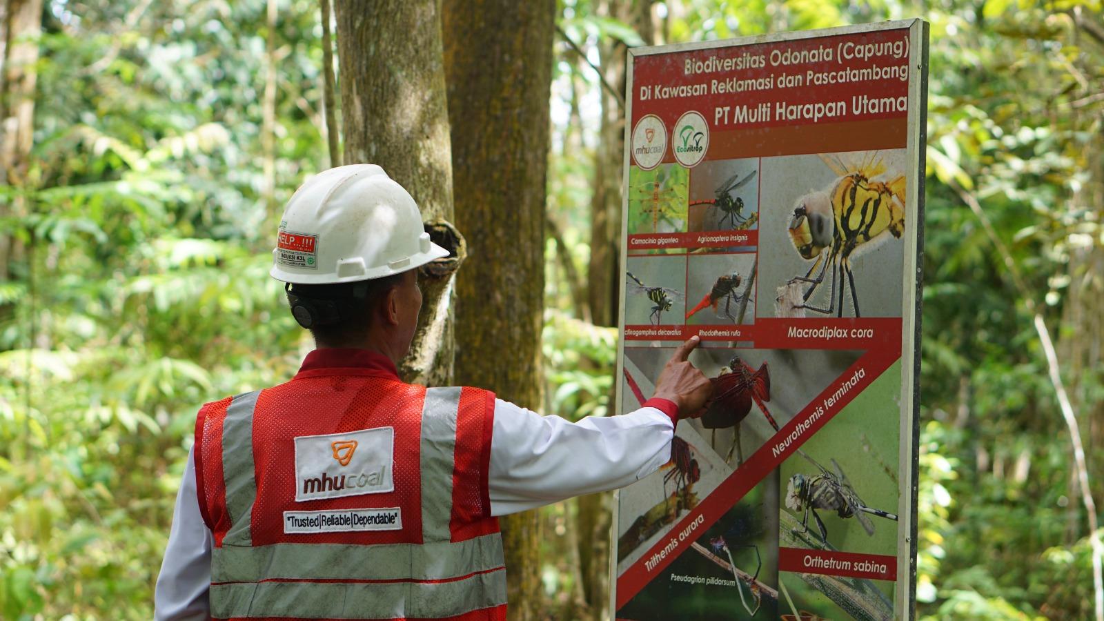 PT-Multi-Harapan-Utama-MHU-menginisiasi-hutan-lindung.jpg