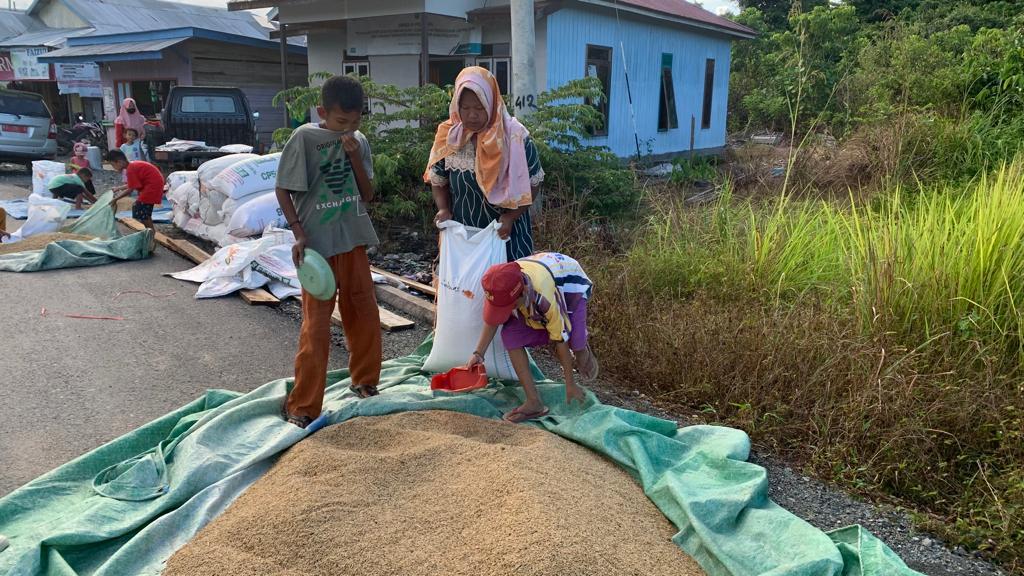 Para-petani-yang-sedang-panen-tanaman-miliknya.jpg