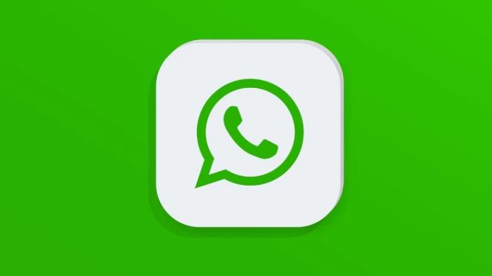 Sadap WhatsApp Pakai Nomor Telpon Banyak Diburu, Social Spy WhatsApp Bisa? Alternatif yang Dipakai