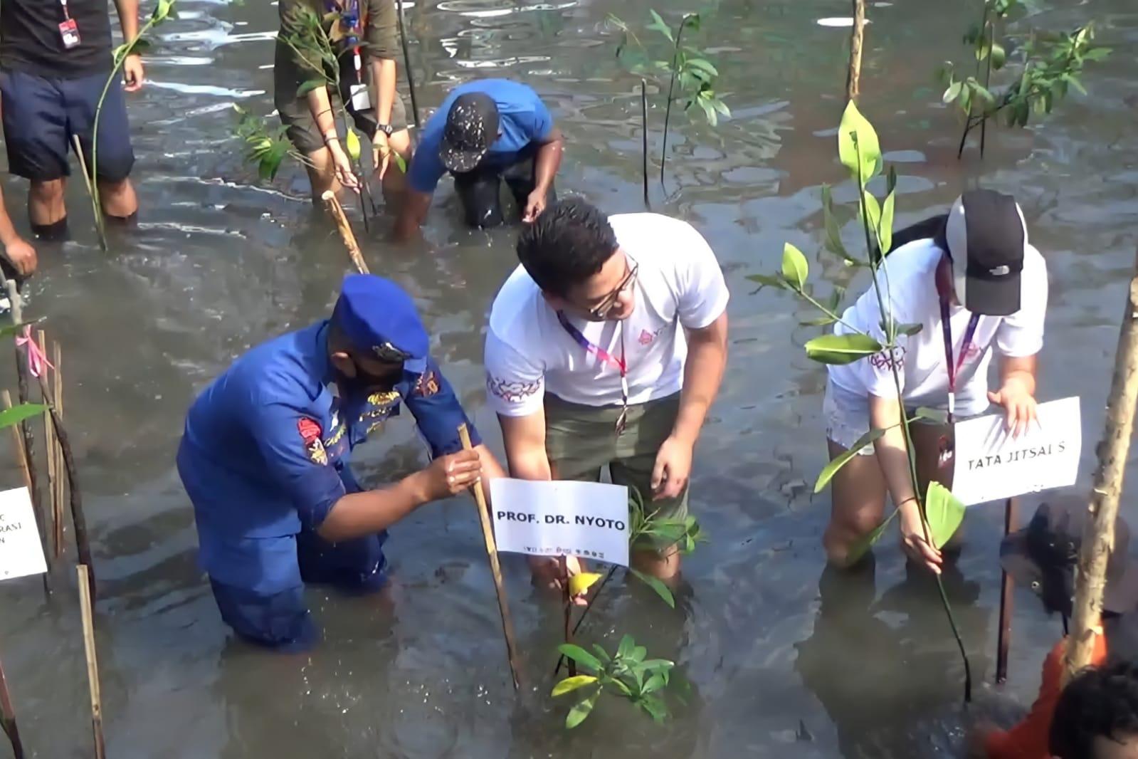 Sejumlah-delegasi-Pra-KTT-Y20-melakukan-penanaman-bibit-mangrove.jpg