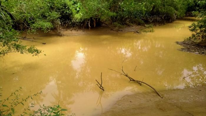Seusai-Banjir-di-IKN-Nusantara-Otorita-Siapkan-Rencana-Penanganan-Jangka-Pendek-hingga-Panjang.jpg