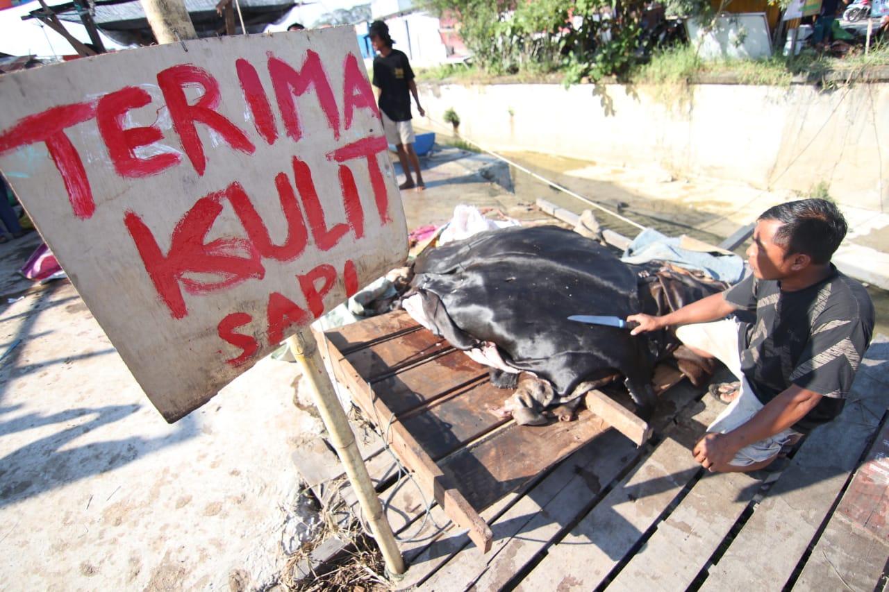 Suasan-Penjualan-Kulit-Sapi-Kurban-di-Fheis-999.jpg