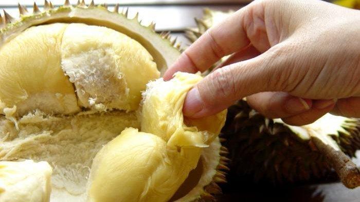 5 Cara Memilih Buah Durian yang Telah Matang, Tidak Bakalan Tertipu